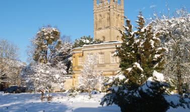 snow and walled garden