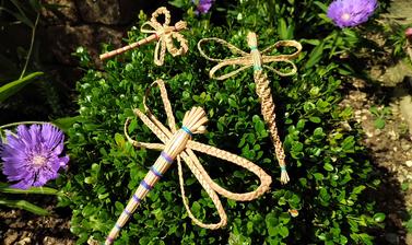 straw dragonfly
