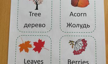 Sheet of paper titled Welcome to Harcourt Arboretum. In each of four rectangles below the title, there is an autumnal image, clearly labelled as tree, acorn, leaves, or berries. All of the words are written in both English and Ukrainian. 