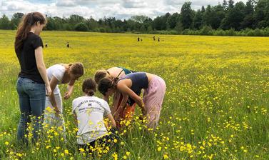 wildflower meadow school visit 21x