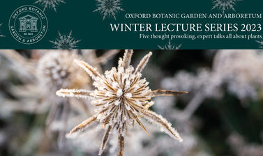 winter lecture website graphics