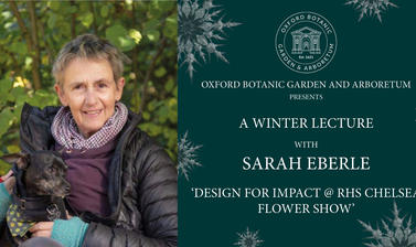 winter lecture website graphics2