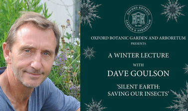 winter lecture website graphics5