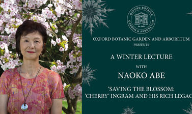 winter lecture website graphics6