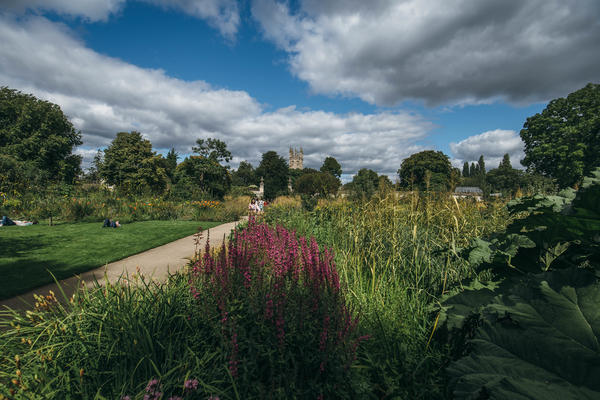 university college oxford virtual tour