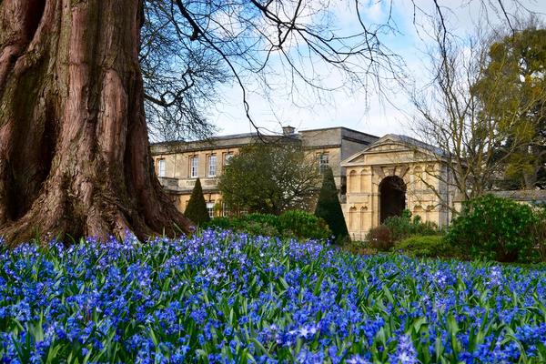 university college oxford virtual tour