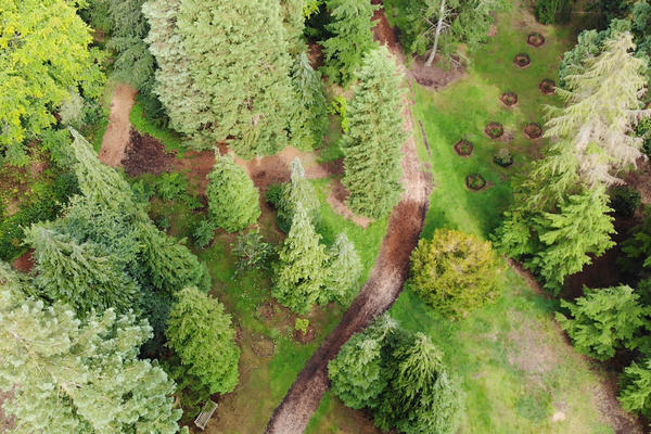 drone harcourt arboretum