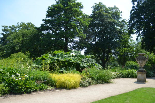 The Water Garden