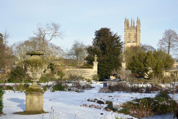 Lower Garden and Magdalen Tower in Snow