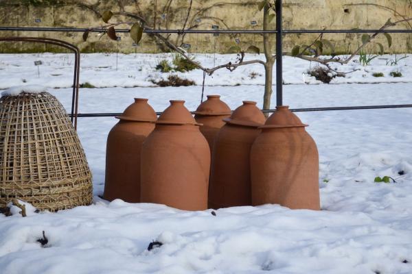 Snow and Plant Covers