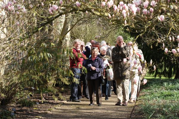 Tour Group