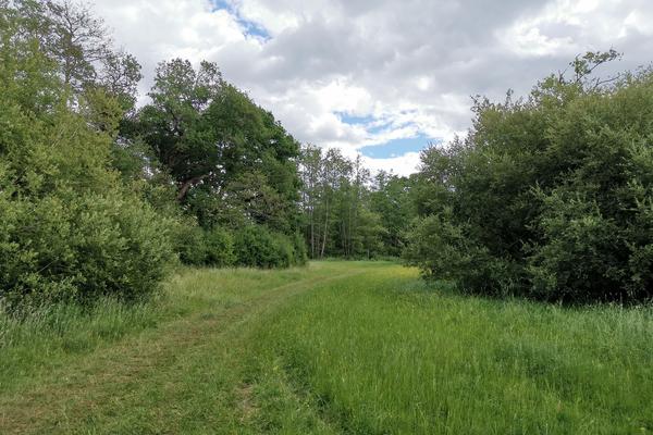 Conservation in Oxfordshire
