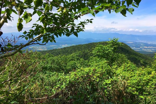 Conservation in Japan