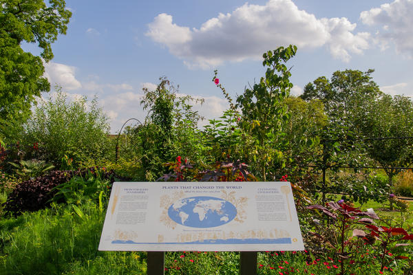 plants that changed the world  oxford botanic garden  lower garden 