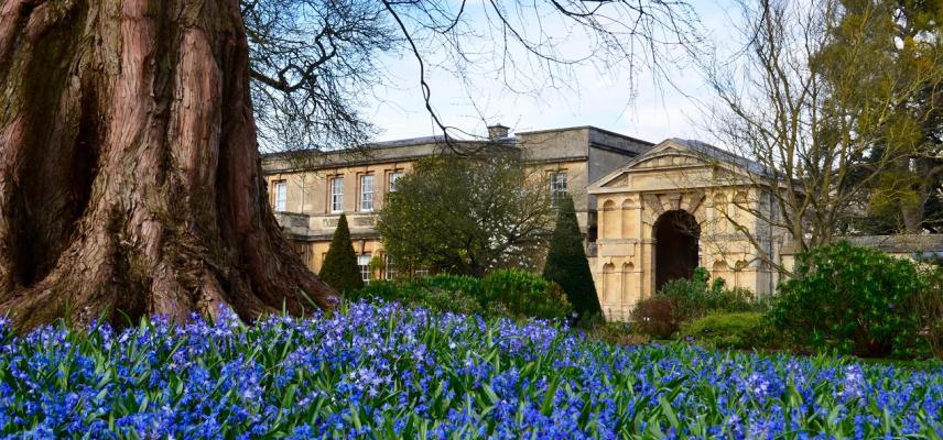 Group Visits Oxford Botanic Garden And Arboretum