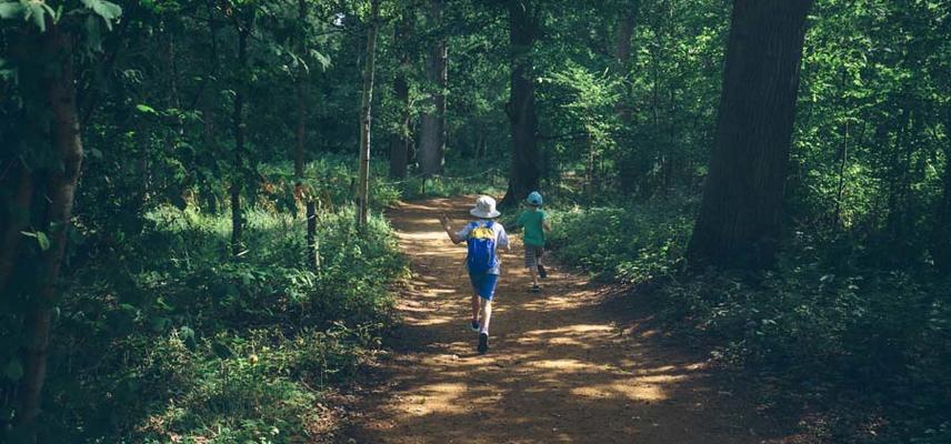 Family Walking Arboretum Woodland (Wallman Lo Res)