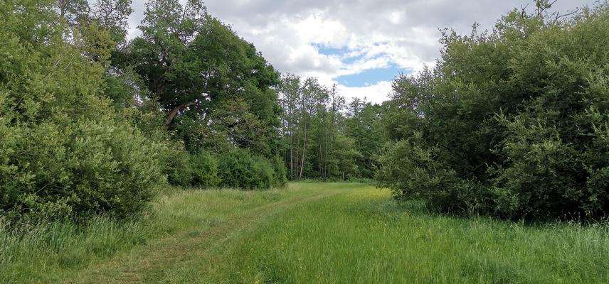 Conservation in Oxfordshire