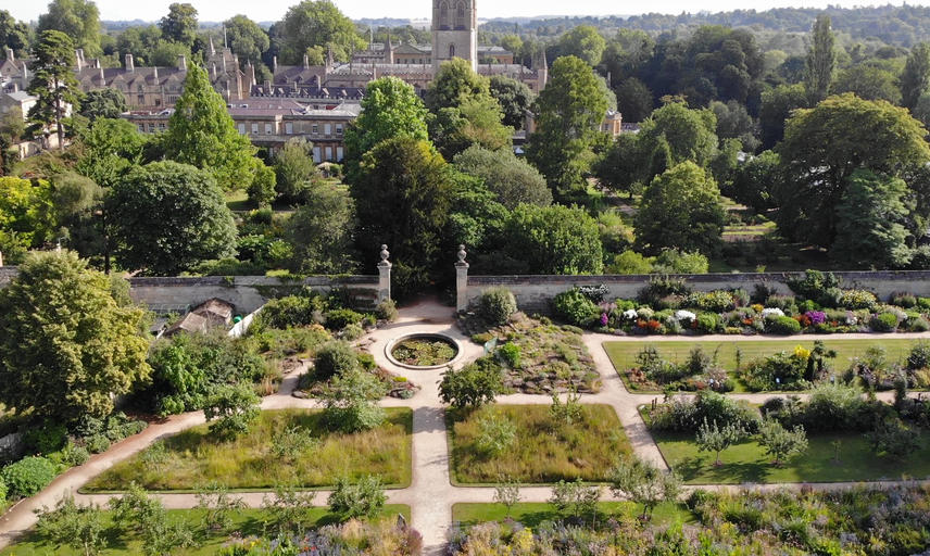 botanic garden drone  summer 2019