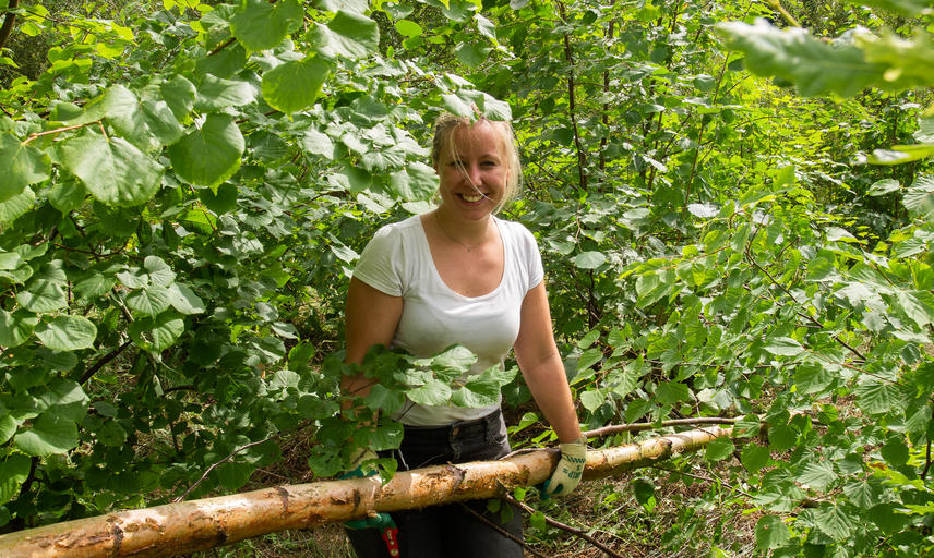 volunteers  arboretum  p8083632