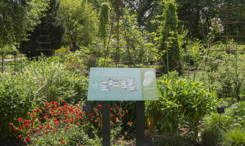 walled garden  taxonomic beds  interpretation  botanic garden