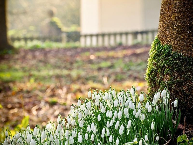 cerney house garden