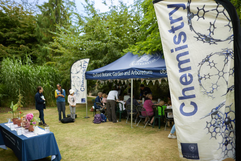 Chemistry in the Garden