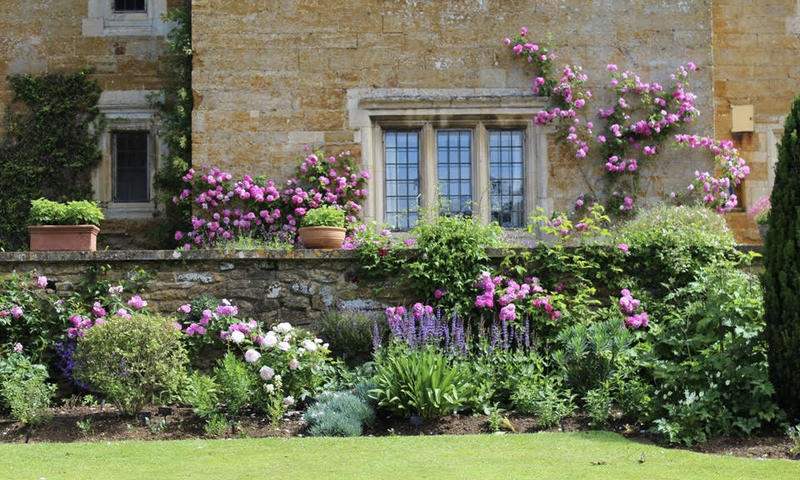 coton manor