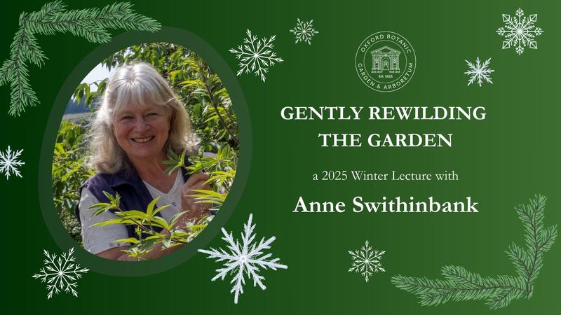 winter lecture graphics