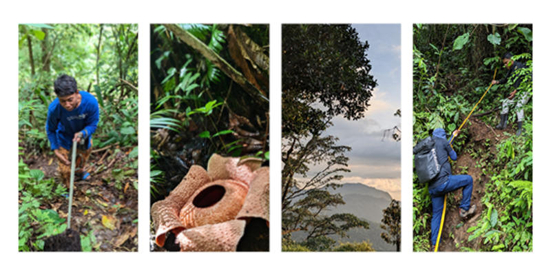 Four photos of the expedition in the habitats. One of a Rafflesia flower, and more photos of the habitats.