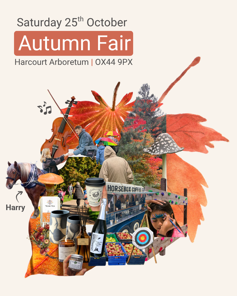 Collage of Autumn Fair activities in the shape of a leaf