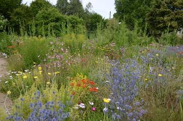 Merton Border