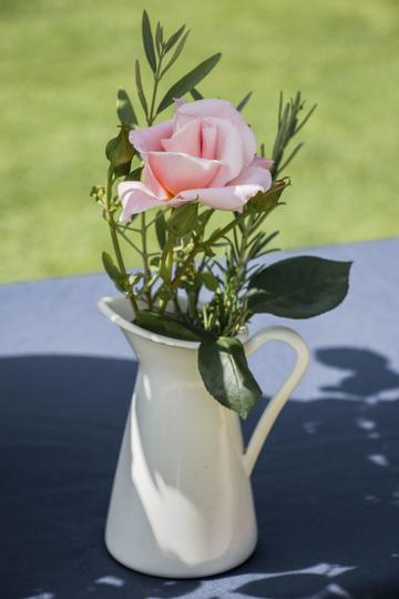 Oxford Physic Rose in vase