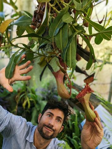 Botanist Dr Chris Thorogood with pitcher plants at Oxford Botanic Garden