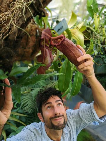 Botanist Dr Chris Thorogood with pitcher plants at Oxford Botanic Garden