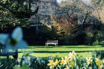 wadham college garden 