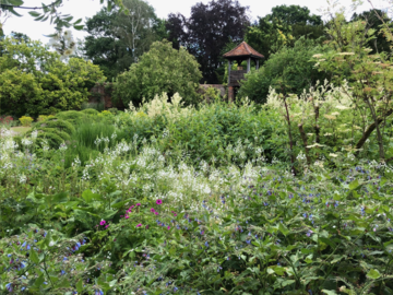 Waltham Place Garden