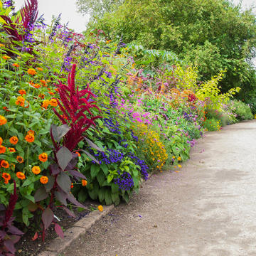 Autumn Border