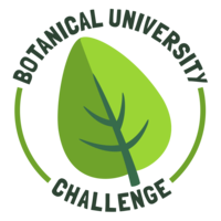 buchallenge logo transparent