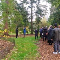 Social prescribers on a tour of the Arboretum