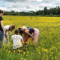 wildflower meadow school visit 21x
